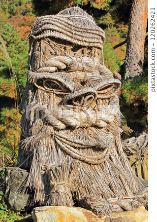 長野市蘆切道祖人大岡 120262421