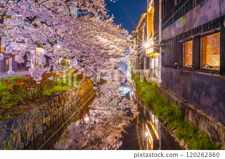 木屋町街和高瀨川的夜櫻花 木屋町街和高瀨川的夜櫻花 120262860