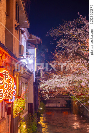 Cherry blossoms at night on Kiyamachi Street and Takase River Cherry blossoms at night on Kiyamachi Street and Takase River 120262875