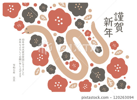 2025 Year of the Snake New Year's card template 120263094