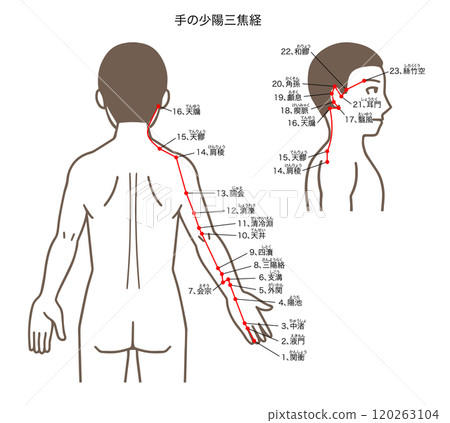 針灸穴位、手少陽三焦經、穴位圖解 120263104