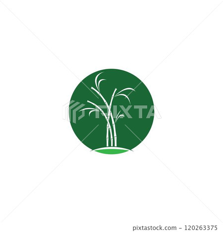 Sugar cane plant logo vector 120263375