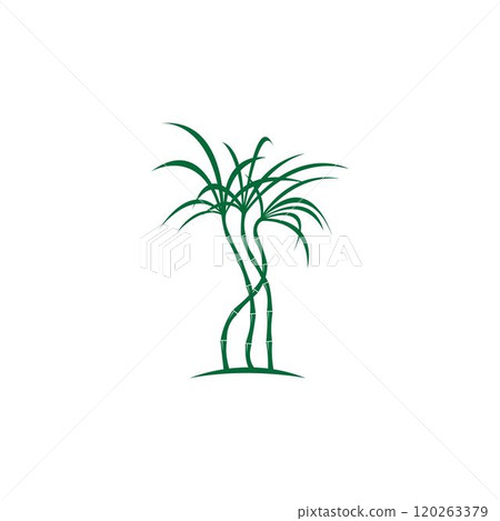 Sugar cane plant logo vector 120263379