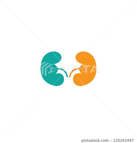 kidney logo vector 120263497