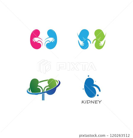 kidney logo vector 120263512