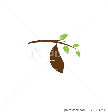 Cocoon logo template vector Cocoon logo template vector 120263741