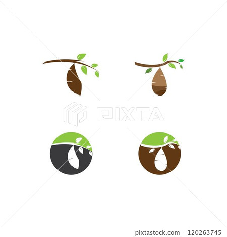 Cocoon logo template vector Cocoon logo template vector 120263745