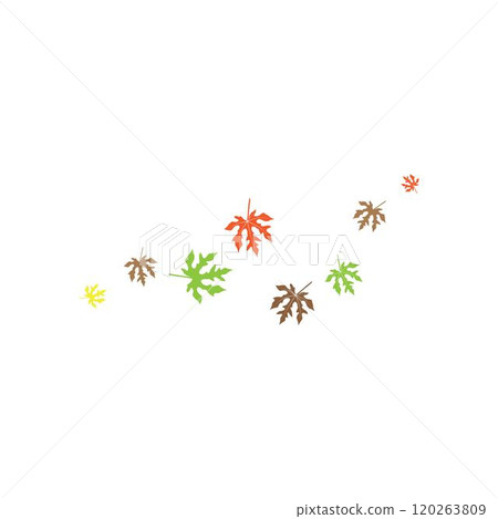 Summer Autumn Logo Summer Autumn Logo 120263809