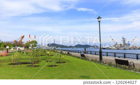 Autumn at Verny Park 120264027