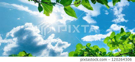 Blue sky, green leaves. Generative AI Blue sky, green leaves. Generative AI 120264306