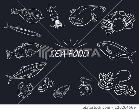 Seafood, various fish line drawing illustration design Seafood, various fish line drawing illustration design 120264569