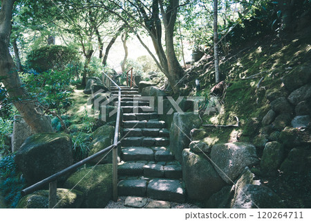 Treasure Temple of Kamakura 120264711