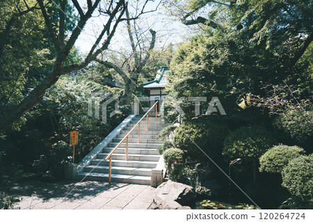 鎌倉寶藏寺 鎌倉寶藏寺 120264724