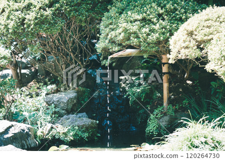 Treasure Temple of Kamakura Treasure Temple of Kamakura 120264730