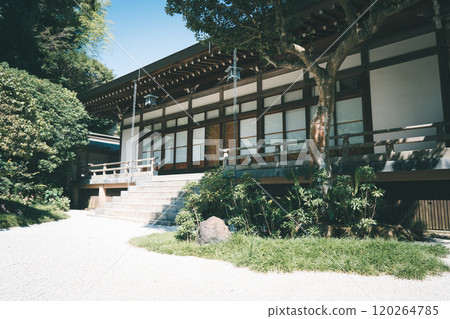 Treasure Temple of Kamakura Treasure Temple of Kamakura 120264785