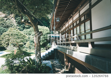 Treasure Temple of Kamakura 120264788
