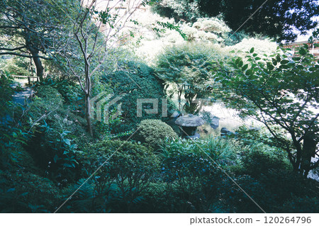 鎌倉寶藏寺 鎌倉寶藏寺 120264796