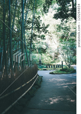 Treasure Temple of Kamakura Treasure Temple of Kamakura 120264854