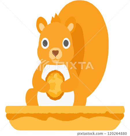 acorn hibernation Forest Nut Mammal acorn hibernation Forest Nut Mammal 120264880