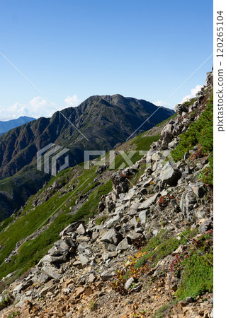 從通往荒川小屋的山路看到的赤石岳、南阿爾卑斯山、赤澤岳和荒川岳登山 從通往荒川小屋的山路看到的赤石岳、南阿爾卑斯山、赤澤岳和荒川岳登山 120265104