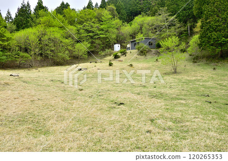 Spring Tanzawa Mountain Range Trail: The fresh greenery of Mt. Kirigara at the Kirigara Shelter Plaza 120265353