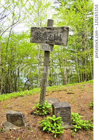 Third-class triangulation point at the summit of Mt. Millet Shell in Tanzawa (Aone Village) Third-class triangulation point at the summit of Mt. Millet Shell in Tanzawa (Aone Village) 120265358