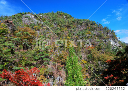 [Mountain scenery] Autumn leaves, Shosenkyo, Yamanashi Prefecture 120265532