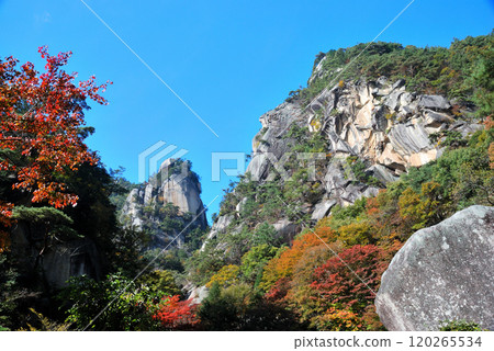 [Mountain scenery] Autumn leaves, Shosenkyo, Yamanashi Prefecture 120265534