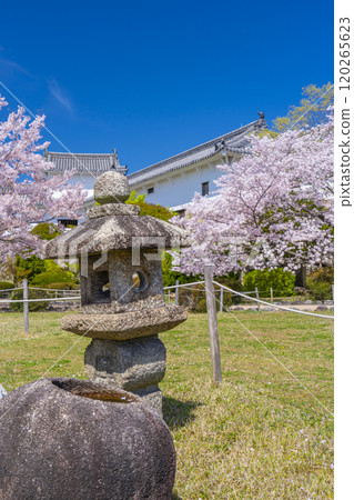 Himeji Castle Nishinomaru Garden Oribe Lantern Himeji Castle Nishinomaru Garden Oribe Lantern 120265623