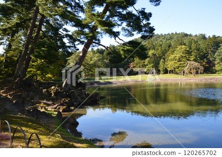 Pure Land Garden at Motsuji Temple (Hiraizumi Town, Nishiiwai District, Iwate Prefecture) 120265702