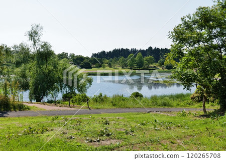 The lawn and large pond at Niigata Prefectural Botanical Garden 120265708