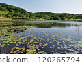 A beautiful pond with trees reflected on its surface 120265794