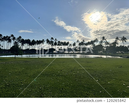 阿拉莫阿納城市公園 阿拉莫阿納城市公園 120265842