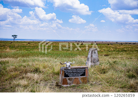 Maasai Mara National Game Reserve Park Narok County Kenya East Africa Wild Wildlife Animals Birds Nature Fauna Great Rift Valley Savanna Grasslands Wilderness 120265859