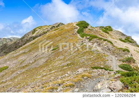 The summit of Mt. Ko-Akaishi seen from the Akaishi hut junction. Southern Alps, Mt. Akaishi climbing 120266204