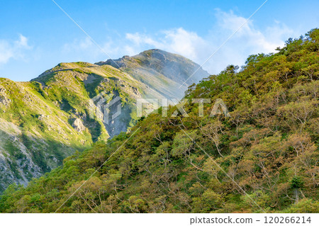 從荒川小屋看到的赤石山、南阿爾卑斯山、惡澤山、荒川山攀登 120266214