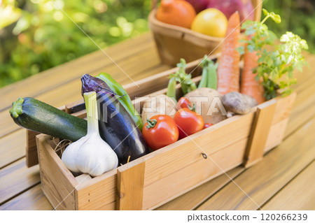 Assorted vegetables Assorted vegetables 120266239