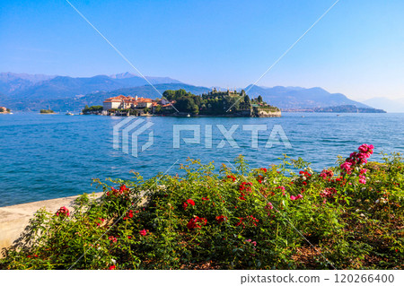 View of Isola Bella (one of the Borromean Islands of Lago Maggiore) from Stresa town, Italy 120266400