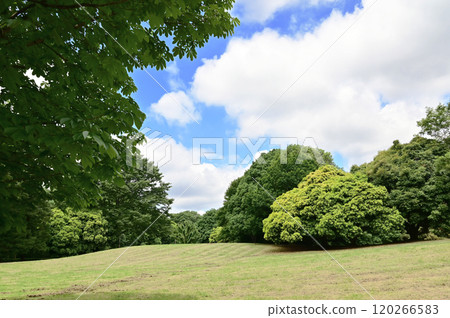 Blue sky Blue sky 120266583