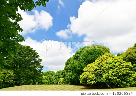 藍天 藍天 120266584