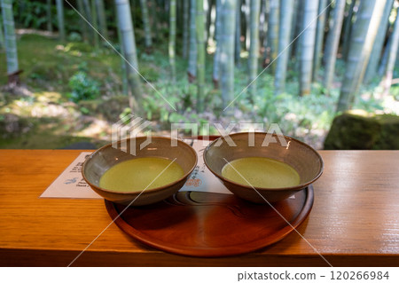 Treasure Temple of Kamakura 120266984