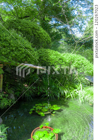 Treasure Temple of Kamakura 120267023