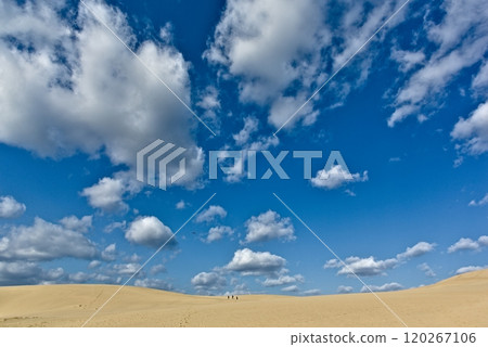 The vast sky above the sand dunes 120267106