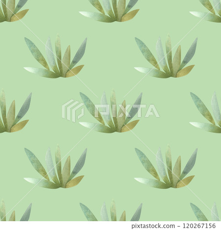 Succulents: seamless watercolor pattern on a white background for wrapping paper and print on fabric, home textiles. Home gardening, hobby. Succulents: seamless watercolor pattern on a white background for wrapping paper and print on fabric, home textiles. Home gardening, hobby. 120267156