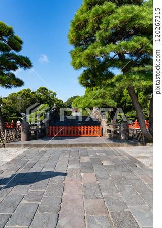 Kamakura Tsurugaoka Hachimangu Shrine 120267315
