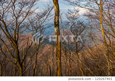 Mt. Mitsuba and Mt. Fuji as seen from Mt. Asase Gongen in Nishitanzawa 120267401