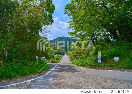 View of Imanari Bridge (Sada Submerged Bridge) across the Shimanto River in Shimanto City, Kochi Prefecture, from the east entrance 120267409