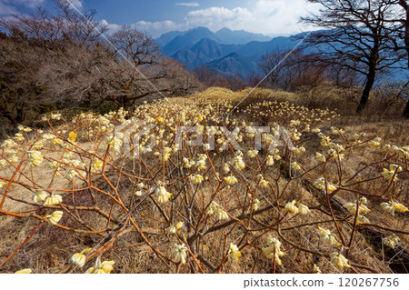 西丹澤/朝古權現山脊線的三俁社區以及檜木洞丸方向的山脈 120267756