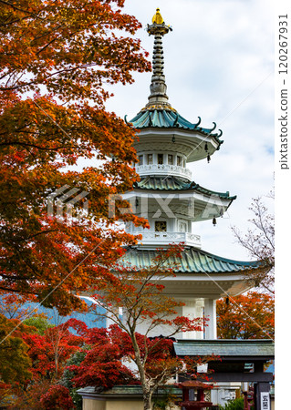 埼玉縣飯能市、鳥居觀音、源上三藏塔 120267931