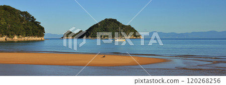 Tonga Island, Abel Tasman National Park, New Zealand. Tonga Island, Abel Tasman National Park, New Zealand. 120268256